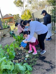 nurturing environmental understanding in young learners 2