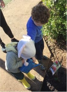 nurturing environmental understanding in young learners