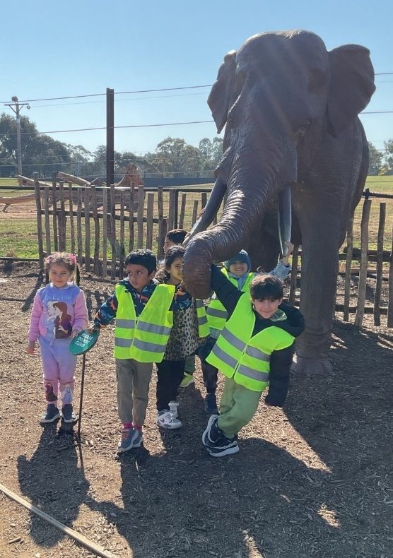 Werribee Zoo kindergarten excursion