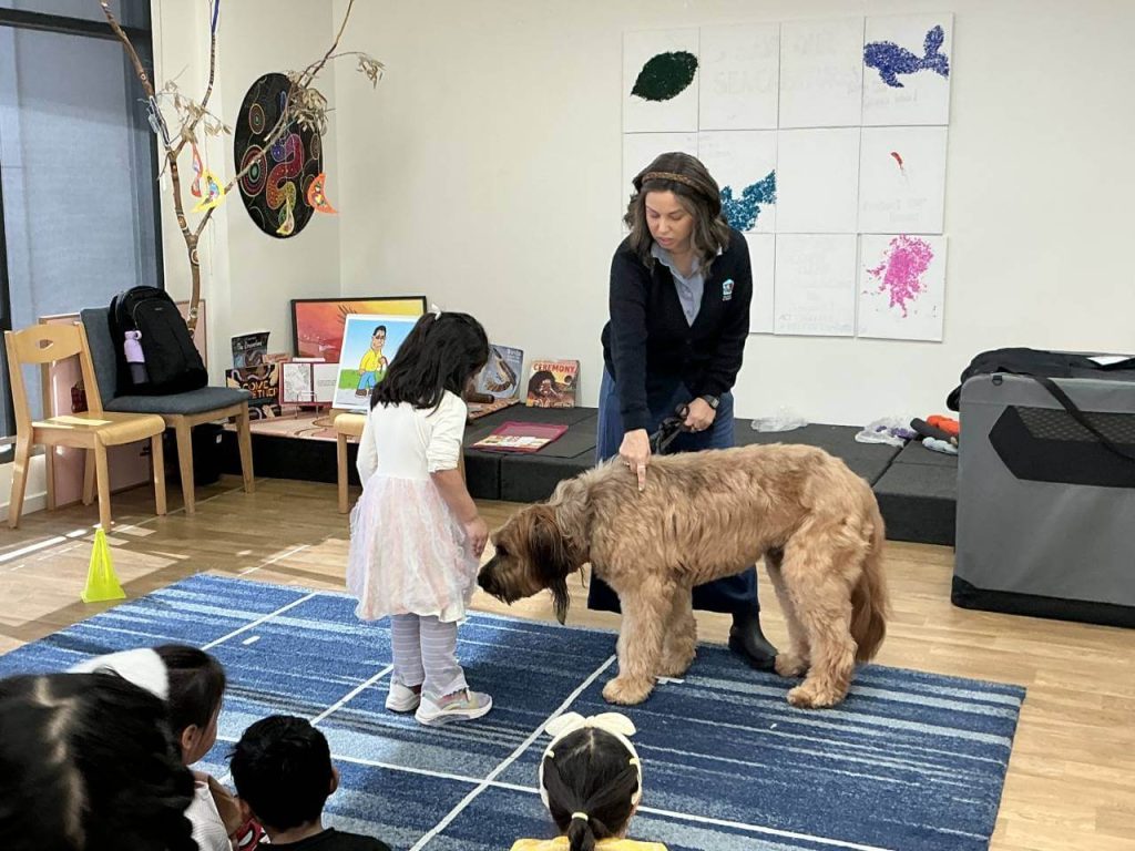 dogs sniff to explore their environment